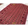 Bukara Turkmen old 253x177-Mollaian-carpets-Home-Bukara Turkmen-834-Sale--50%