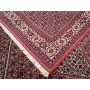 Bidjar fine 250x200-Mollaian-carpets-Square and oversize carpets-Bijar - Bidjar-2230-Sale--50%