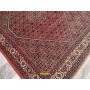 Bidjar fine 250x200-Mollaian-tappeti-Tappeti Quadrati e Fuori Misure-Bijar - Bidjar-2230-Saldi--50%
