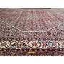 Bidjar fine 250x200-Mollaian-carpets-Square and oversize carpets-Bijar - Bidjar-2230-Sale--50%