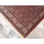 Bidjar fine 250x200-Mollaian-tappeti-Tappeti Quadrati e Fuori Misure-Bijar - Bidjar-2230-Saldi--50%