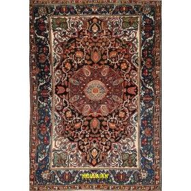 Old Bakhtiari Persia 254x172-Mollaian-carpets-Old Carpets-Bakhtiari-5610-Sale--50%