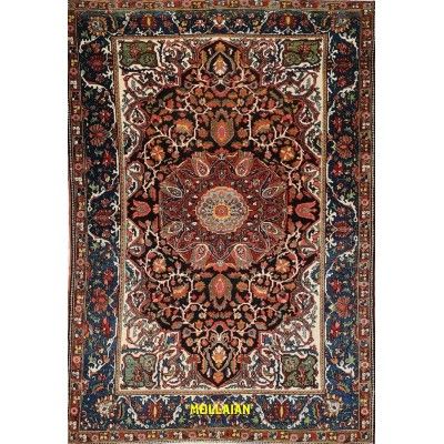 Bakhtiari d'epoca Persia 254x172-Mollaian-tappeti-Tappeti D'epoca-Bakhtiari-5610-Saldi--50%