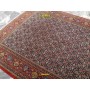 Qum Herati Persia 295x195-Mollaian-tappeti-Tappeti Grandi-Qum - Ghom-6793-3.540,00 €-Saldi--40%