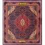 Bijar Persia 76x66-Mollaian-tappeti-Tappeti Scendiletto-Bijar - Bidjar-1031-Saldi--50%