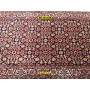 Bidjar Persia 240x73-Mollaian-carpets-Runner Rugs - Lane Rugs - Kalleh-Bijar - Bidjar-6379-Sale--50%