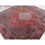 Bidjar extra fine Persia 240x207-Mollaian-tappeti-Home-Bijar - Bidjar-7293-Saldi--50%