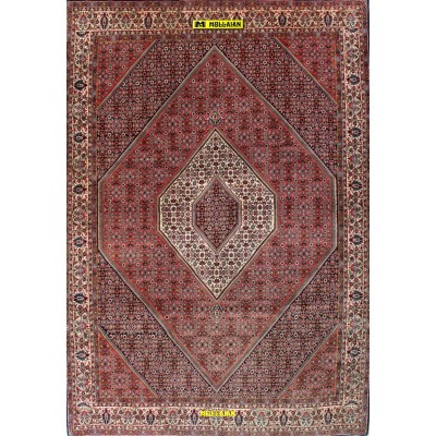 Bidjar extra fine Persia 305x210-Mollaian-tappeti-Home-Bijar - Bidjar-7296-Saldi--50%