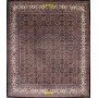 Indo-Bidjar fine 290x245-Mollaian-tappeti-Home-Bijar - Bidjar-14395-Saldi--50%