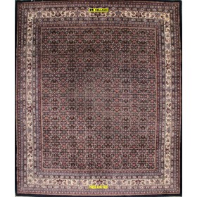 Indo-Bidjar fine 290x245-Mollaian-tappeti-Tappeti Occasioni Outlet-Bijar - Bidjar-14395-Saldi--50%