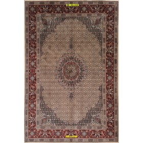 Birgiand Amini extra-fine 293x200-Mollaian-carpets-Geometric design Carpets-Birgiand - Birjand - Mud-14604-Sale--50%