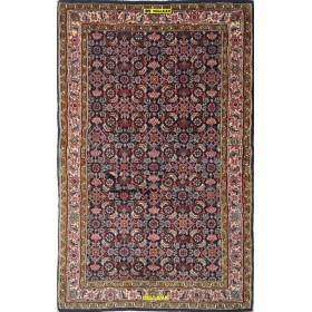 Indo-Bidjar Herati 150x93-Mollaian-tappeti-Tappeti Occasioni Outlet-Bijar - Bidjar-14513-Saldi--50%