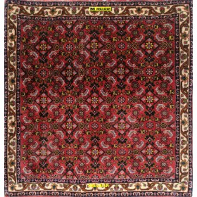 Bidjar extra fine Persia 80x77-Mollaian-tappeti-Tappeti Scendiletto-Bijar - Bidjar-8019-Saldi--50%