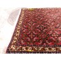 Bidjar extra fine Persia 80x77-Mollaian-tappeti-Home-Bijar - Bidjar-8019-Saldi--50%