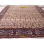 Mud Vintage d'epoca Persia 350x245-Mollaian-tappeti-Home-Birgiand - Birjand - Mud-8045-Saldi--50%