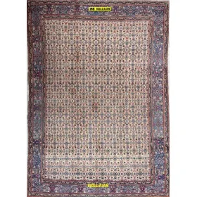 Mud Vintage d'epoca Persia 350x245-Mollaian-tappeti-Tappeti Geometrici-Birgiand - Birjand - Mud-8045-Saldi--50%