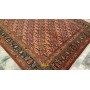 Birgiand d'epoca Persia 315x210-Mollaian-tappeti-Tappeti Occasioni Outlet-Birgiand - Birjand - Mud-5658-Saldi--50%