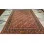 Birgiand d'epoca Persia 315x210-Mollaian-tappeti-Tappeti Occasioni Outlet-Birgiand - Birjand - Mud-5658-Saldi--50%
