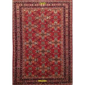 Shirvan Zeikur 245x170 Azerbaijan-Mollaian-carpets-Geometric design Carpets-Shirvan Caucasico-6286-Sale--50%