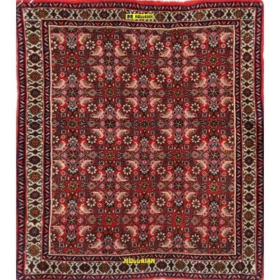 Bijar extra fine Persia 85x75-Mollaian-carpets-Bedside carpets-Bijar - Bidjar-5741-Sale--50%