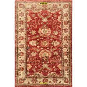 Sultanabad extra gold 142x 91-Mollaian-carpets-Gabbeh and Modern Carpets-Sultanabad - Soltanabad-6705-Sale--50%